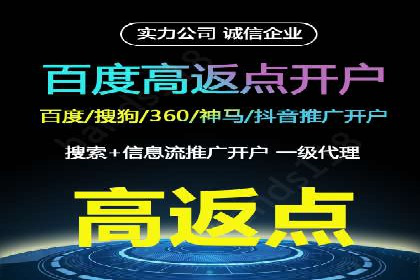 行业领先企业的sem竞价策略：成功案例剖析